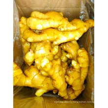 2020 New Crop Fresh Ginger Organic From China High Quality Bulk Price